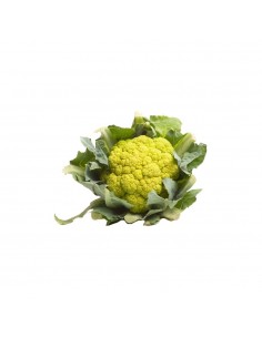Brócoli ( Pagés Maresme )