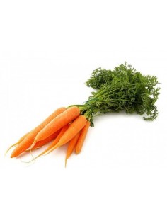 Zanahoria (Manojo)